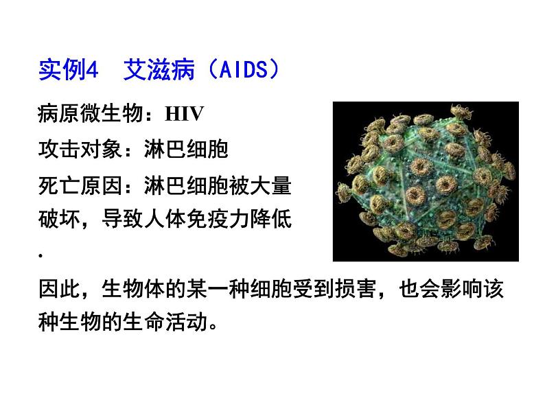 高三生物第一轮复习__必修一全套课件08