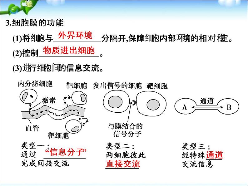 高考生物一轮复习_第2单元_细胞的基本结构与物质运输_第5讲_细胞膜与细胞核课件_新人教版04