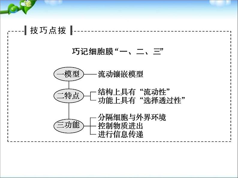 高考生物一轮复习_第2单元_细胞的基本结构与物质运输_第5讲_细胞膜与细胞核课件_新人教版08