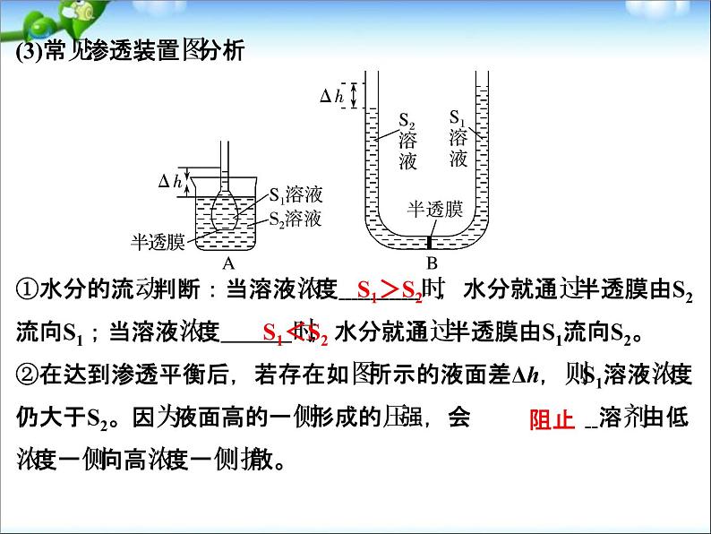 高考生物一轮复习_第2单元_细胞的基本结构与物质运输_第7讲_物质跨膜运输的实例和方式课件03