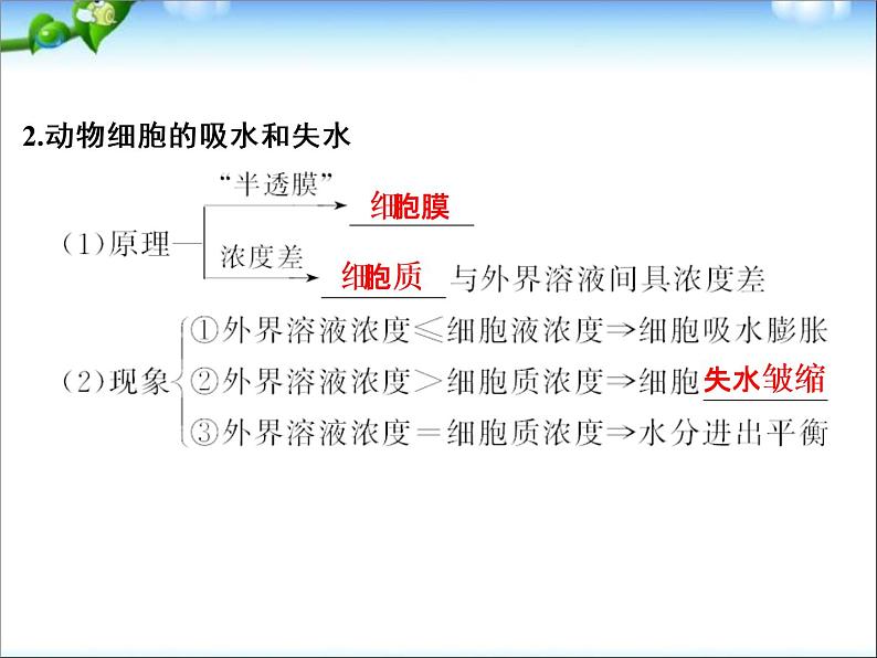 高考生物一轮复习_第2单元_细胞的基本结构与物质运输_第7讲_物质跨膜运输的实例和方式课件04