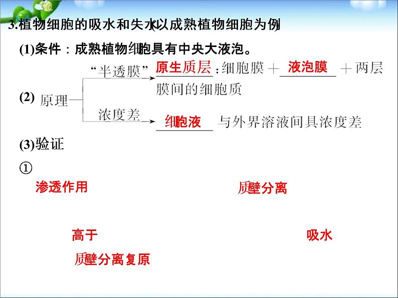 高考生物一轮复习_第2单元_细胞的基本结构与物质运输_第7讲_物质跨膜运输的实例和方式课件05