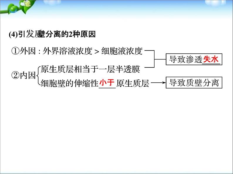 高考生物一轮复习_第2单元_细胞的基本结构与物质运输_第7讲_物质跨膜运输的实例和方式课件06