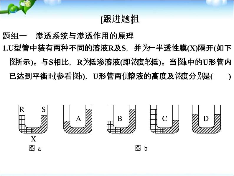 高考生物一轮复习_第2单元_细胞的基本结构与物质运输_第7讲_物质跨膜运输的实例和方式课件07