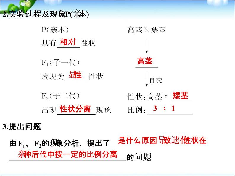 高考生物一轮复习_第5单元_遗传的基本规律_第14讲_基因的分离定律课件_新人教版03