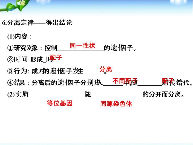 高考生物一轮复习_第5单元_遗传的基本规律_第14讲_基因的分离定律课件_新人教版07