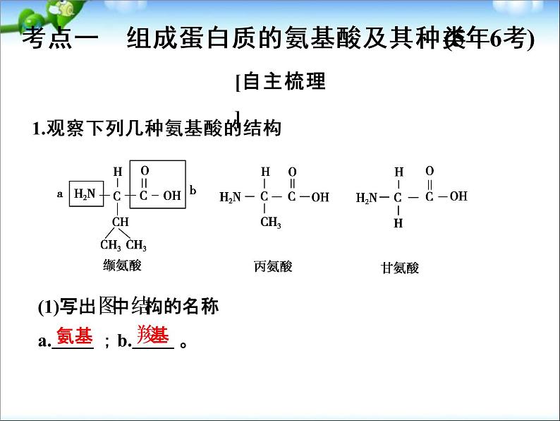 高考生物一轮复习_第1单元_细胞的分子组成_第3讲_生命活动的主要承担者-蛋白质课件02