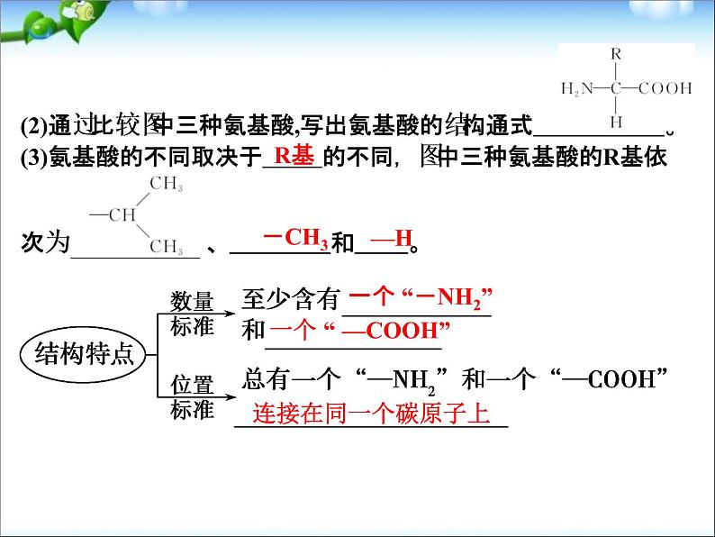 高考生物一轮复习_第1单元_细胞的分子组成_第3讲_生命活动的主要承担者-蛋白质课件03