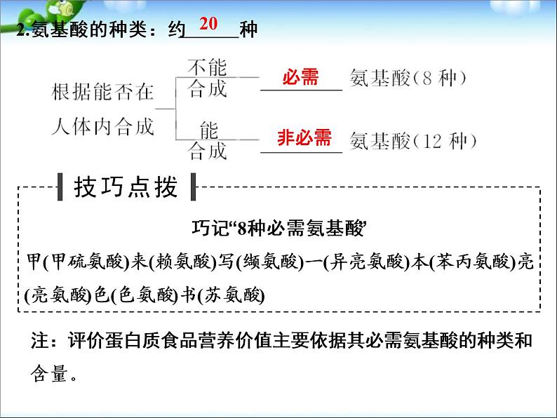 高考生物一轮复习_第1单元_细胞的分子组成_第3讲_生命活动的主要承担者-蛋白质课件04