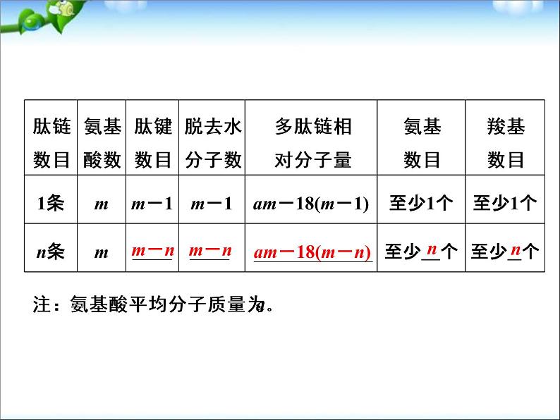 高考生物一轮复习_第1单元_细胞的分子组成_第3讲_生命活动的主要承担者-蛋白质课件06