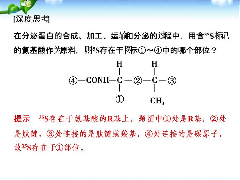 高考生物一轮复习_第1单元_细胞的分子组成_第3讲_生命活动的主要承担者-蛋白质课件08