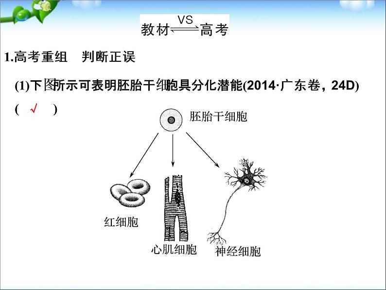 高考生物一轮复习_第4单元_细胞的生命历程_第13讲_细胞的分化、衰老、凋亡和癌变课件07