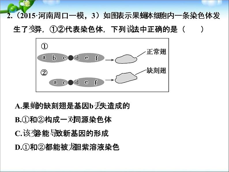 高考生物一轮复习_考点加强课4_生物变异的比较及育种方案选择课件_新人教版08