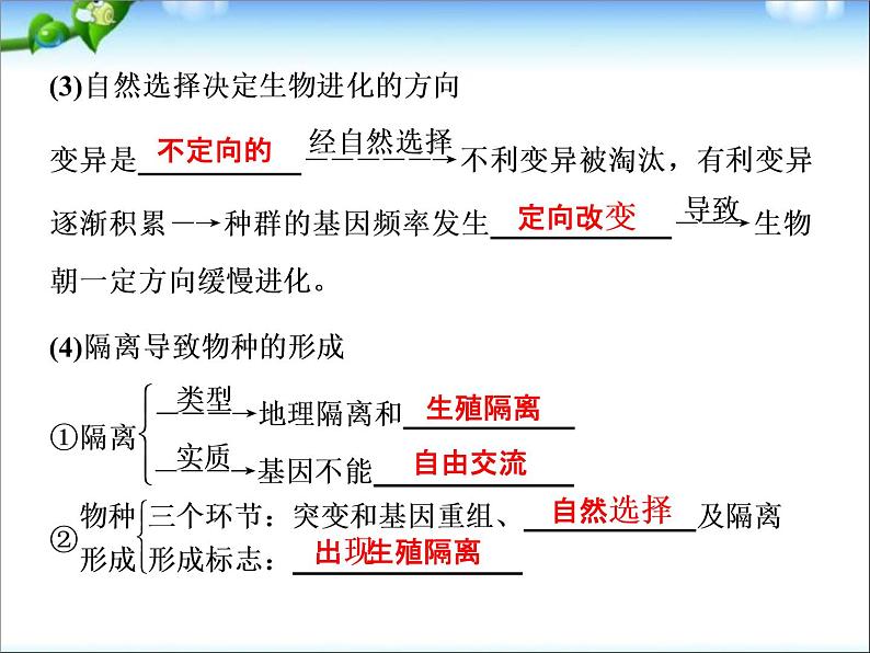 高考生物一轮复习_第7单元_生物的变异、育种与进化_第23讲_生物进化理论课件_新人教版05