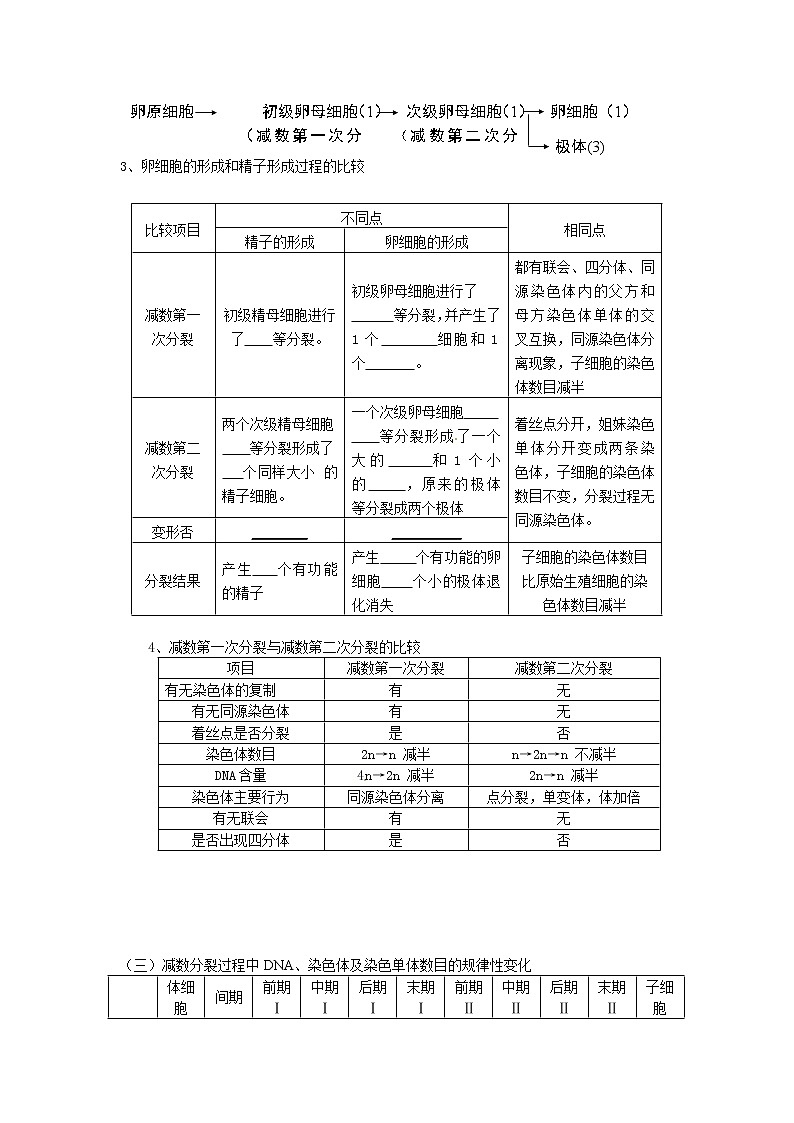 人教版（新课标）高中生物必修二第二章第1节《减数分裂》导学案203