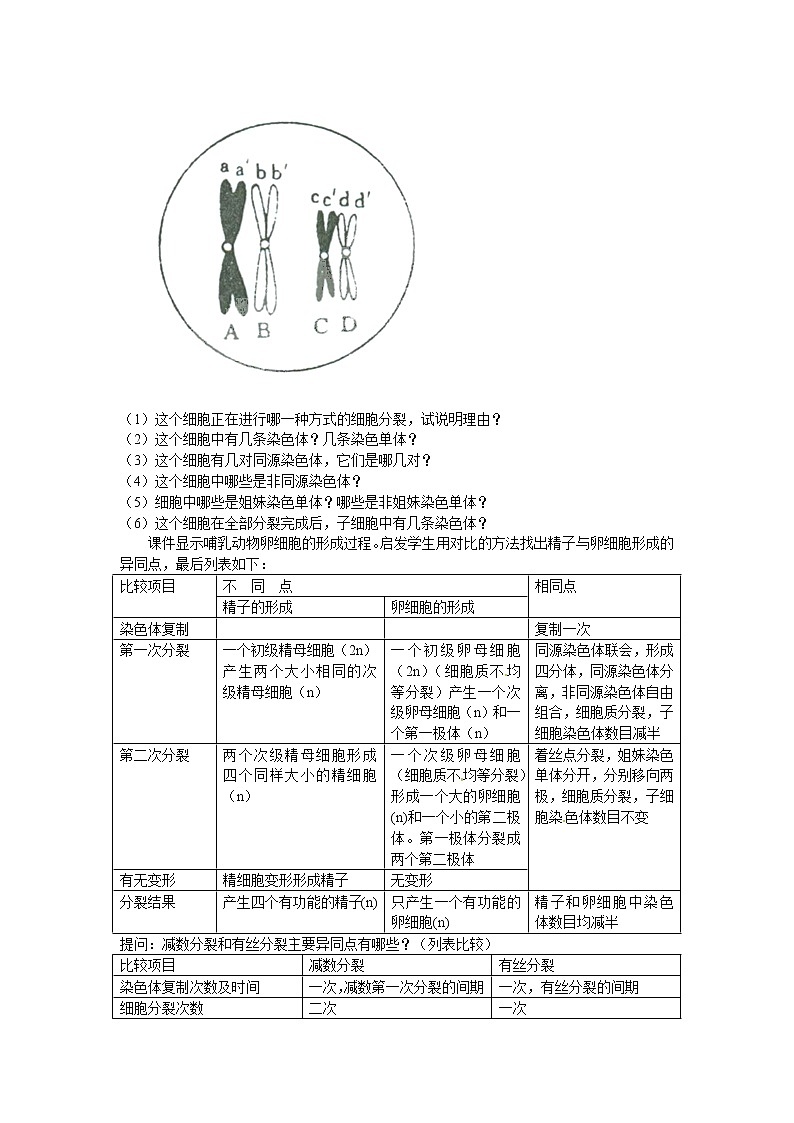 人教版（新课标）高中生物必修二第二章第1节《减数分裂》教案202