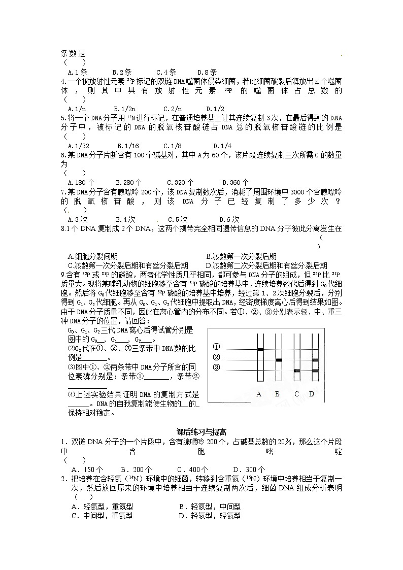 人教版（新课标）高中生物必修二第三章第3节《DNA的复制》导学案03