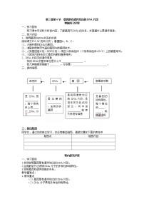 人教版 (新课标)必修2《遗传与进化》第三章 基因的本质第4节 基因是有遗传效应的DNA片段教案