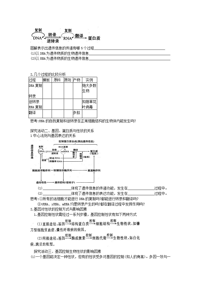 人教版（新课标）高中生物必修二第四章第2节《基因对性状的控制》导学案02