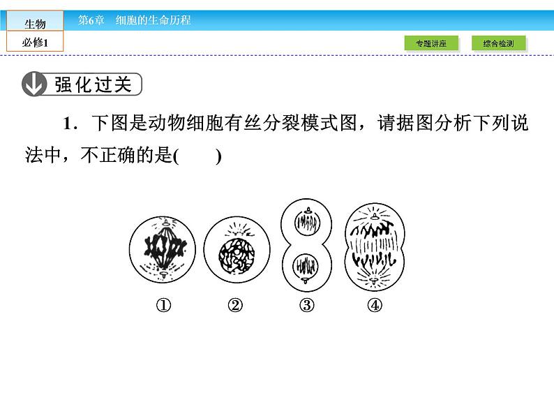 （人教版）高中生物必修一：第6章-全章章末高效整合精讲ppt课件06