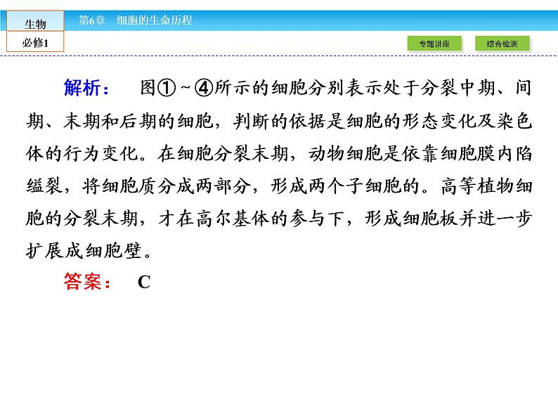 （人教版）高中生物必修一：第6章-全章章末高效整合精讲ppt课件08