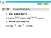 （人教版）高中生物必修一：第3章-全章章末高效整合精讲ppt课件