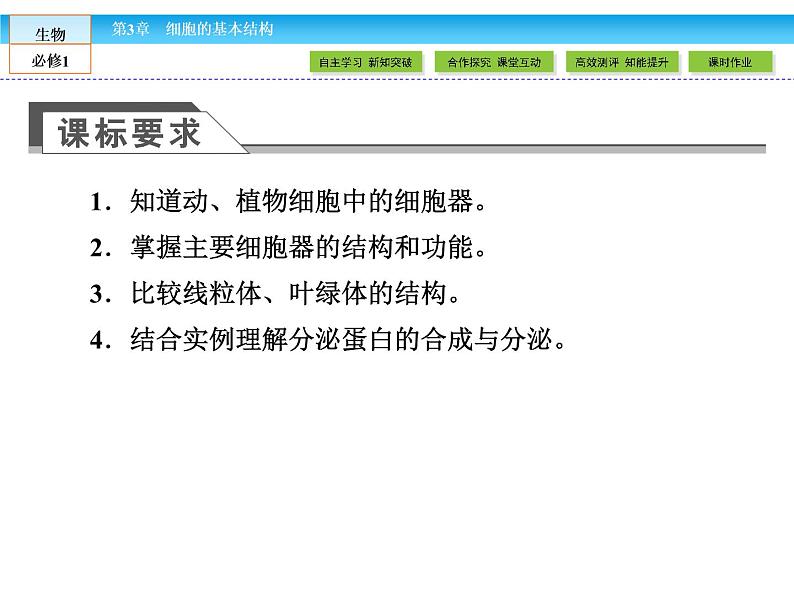 （人教版）高中生物必修一：3.2《细胞器——系统内的分工合作》ppt课件03