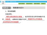 （人教版）高中生物必修一：3.1《細(xì)胞膜——系統(tǒng)的邊界》ppt課件