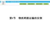 （人教版）高中生物必修一：4.1《物质跨膜运输的实例》ppt课件