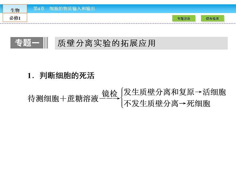 （人教版）高中生物必修一：第4章-全章章末高效整合精讲ppt课件04