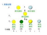 【人教版】高中生物必修二《 1.2 孟德尔的豌豆杂交实验（二）》课件