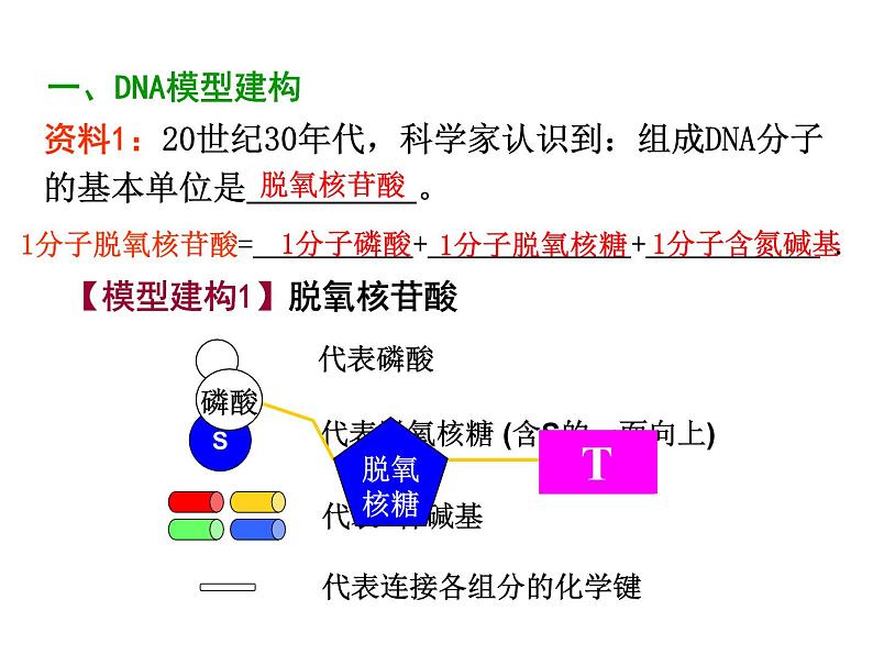 【人教版】高中生物必修二《 3.2 DNA分子的结构》课件03