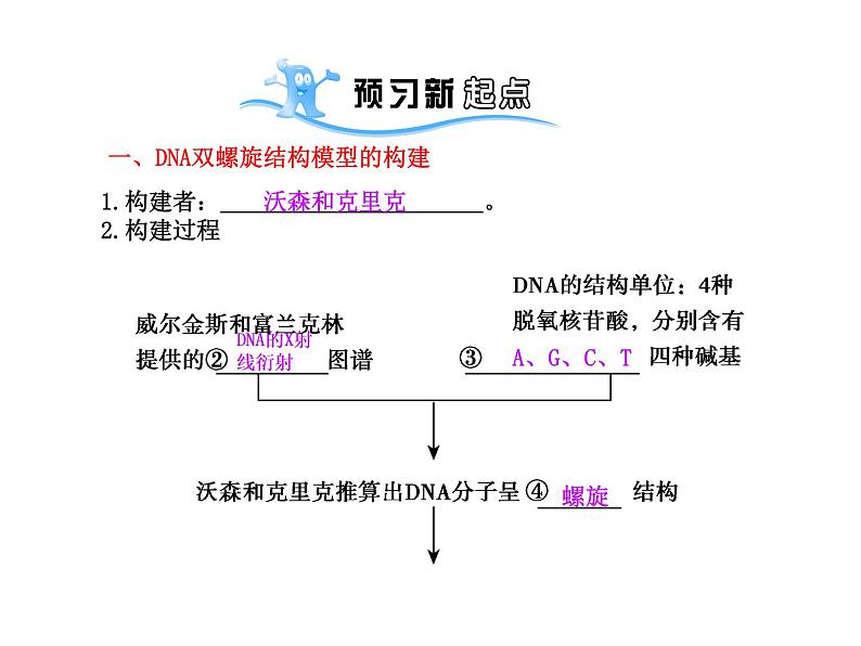 【人教版】高中生物必修二《 3.2 DNA分子的结构》课件102