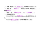 【人教版】高中生物必修二《 3.3 DNA的復(fù)制》課件