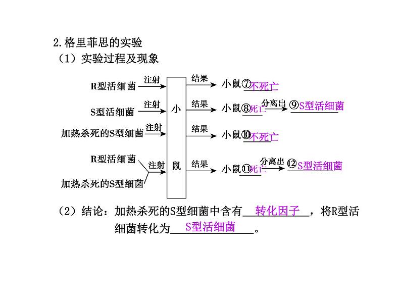 【人教版】高中生物必修二《 3.1 DNA是主要的遗传物质》课件05