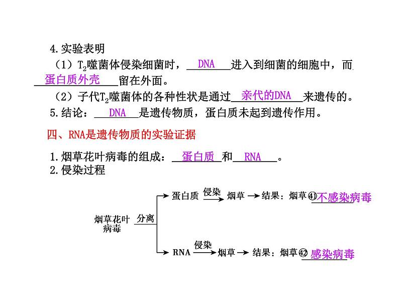 【人教版】高中生物必修二《 3.1 DNA是主要的遗传物质》课件08