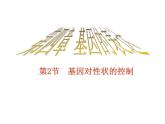 【人教版】高中生物必修二《 4.2 基因對性狀的控制》課件