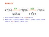 【人教版】高中生物必修二《 4.2 基因对性状的控制》课件