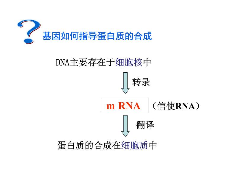 【人教版】高中生物必修二《 4.1 基因指导蛋白质的合成》课件02