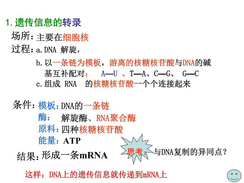 【人教版】高中生物必修二《 4.1 基因指导蛋白质的合成》课件04