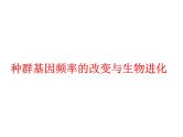 【人教版】高中生物必修二《 7.2.1 种群基因频率的改变与生物进化》课件