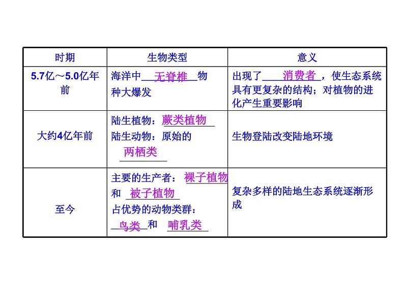 【人教版】高中生物必修二《 7.2.3 共同进化与生物多样性的形成》课件1第4页