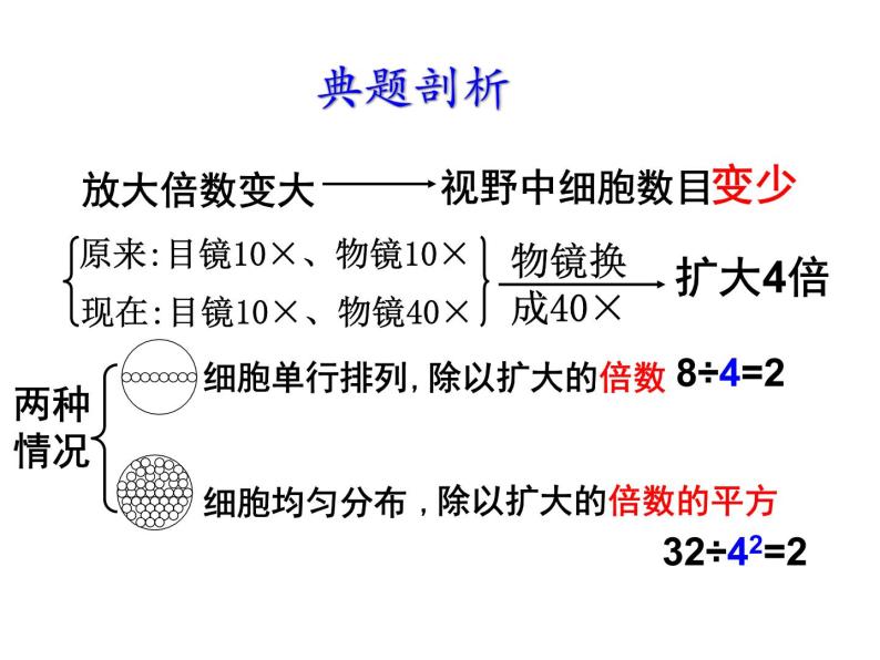 人教版高一生物必修1课件：2.1 细胞中的元素和化合物01