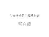 人教版高一生物必修1課件：2.2 生命活動(dòng)的主要承擔(dān)著-蛋白質(zhì) （共27張ppt）