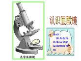 人教版高一生物必修1課件：第一章 顯微鏡的使用與結(jié)構(gòu)
