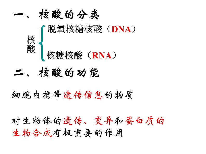 人教版高一生物必修1课件：2.3 遗传信息的携带者-核酸 （共23张ppt）03