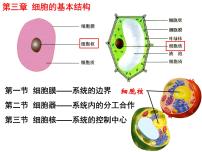 高中生物人教版 (新课标)必修1《分子与细胞》第3节 细胞核──系统的控制中心图片课件ppt