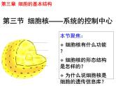 人教版高一生物必修1课件：3.3 细胞核-系统的控制中心2