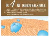 人教版高一生物必修1课件：4.1 物质跨膜运输的实例 （共32张ppt）