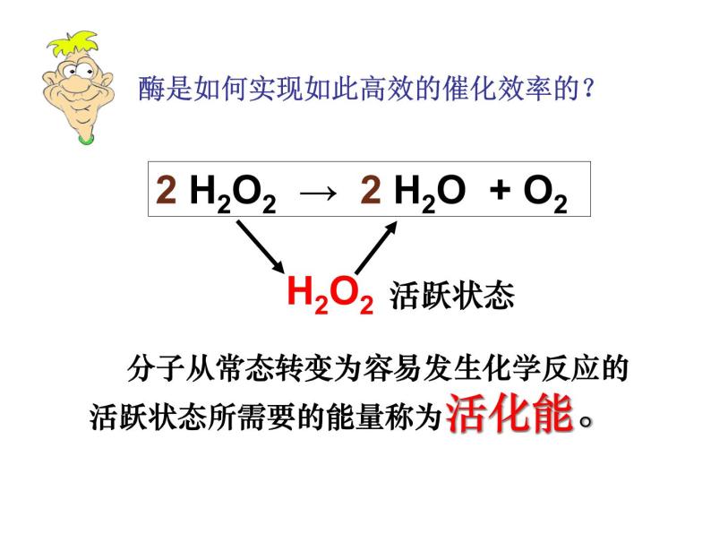 人教版高一生物必修1课件：5.1.1降低化学反应活化能的酶08